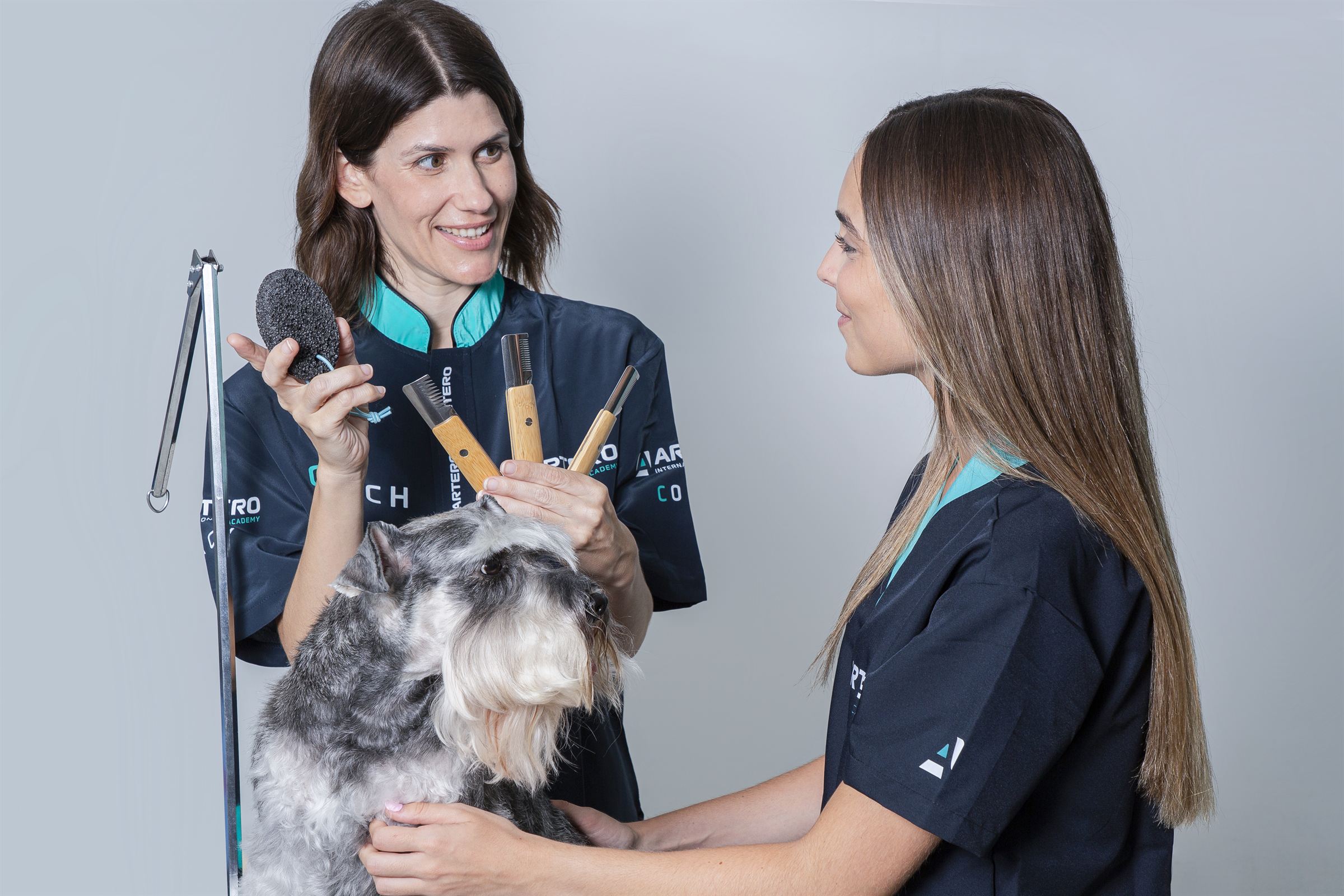 Una coach muestra las herramientas de stripping a una alumna durante una clase con un schnauzer